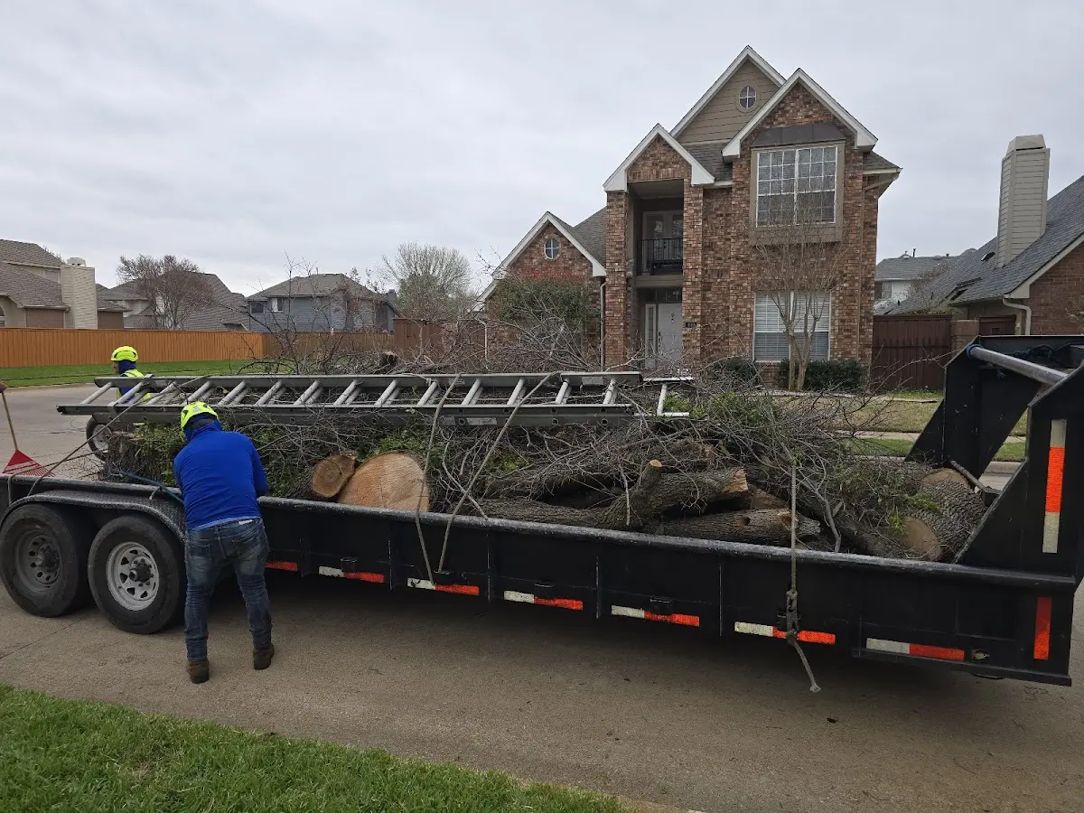 Expert Tree Fertilization with proper safety equipment in Biglerville